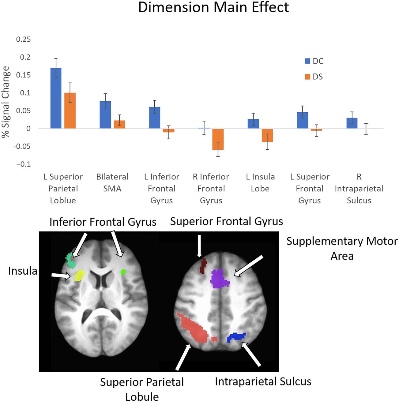 Probing the Neural Systems Underlying Flexible image