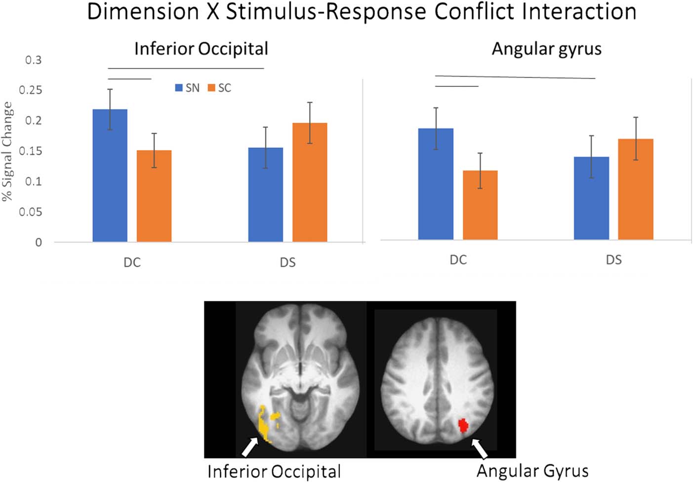 Probing the Neural Systems Underlying Flexible image