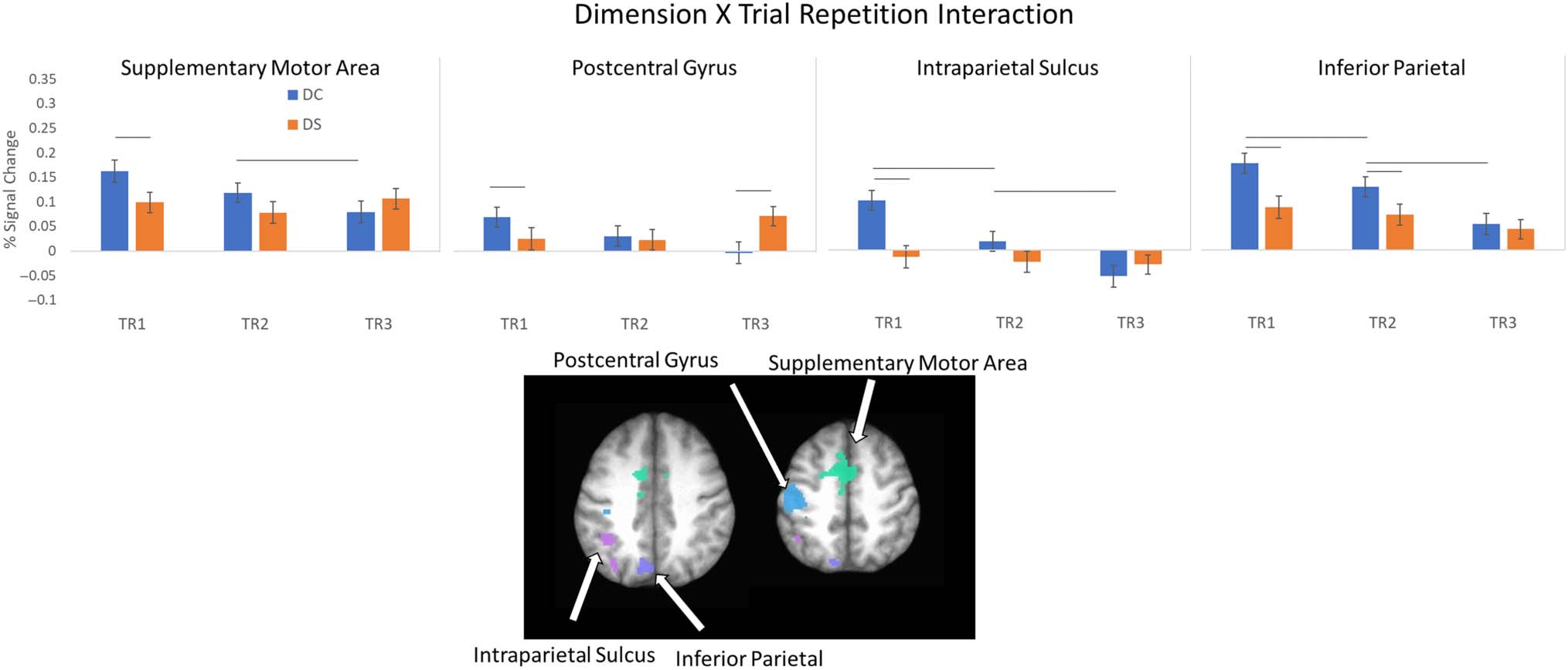 Probing the Neural Systems Underlying Flexible image