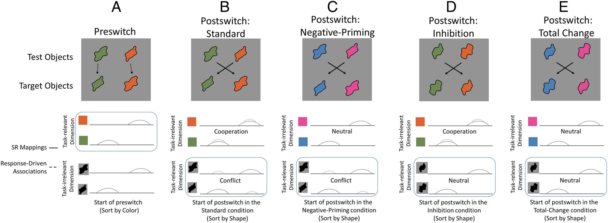 Probing the Neural Systems Underlying Flexible image