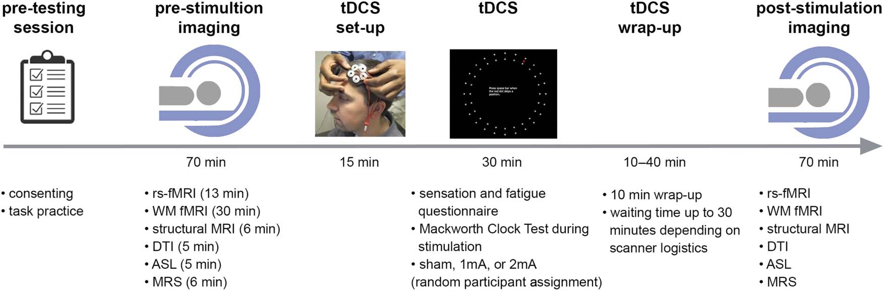 Transcranial Direct Current Stimulation Modulates image