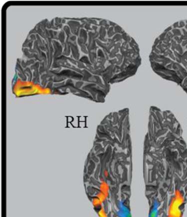 Los efectos de la frecuencia, Variabilidad, and Co-occurrence image