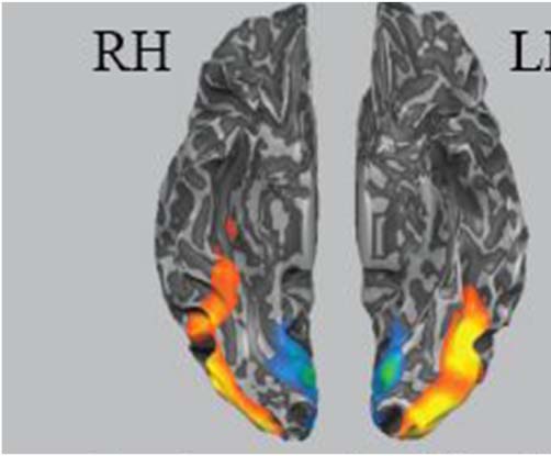 Los efectos de la frecuencia, Variabilidad, and Co-occurrence image