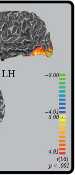 Los efectos de la frecuencia, Variabilidad, and Co-occurrence image