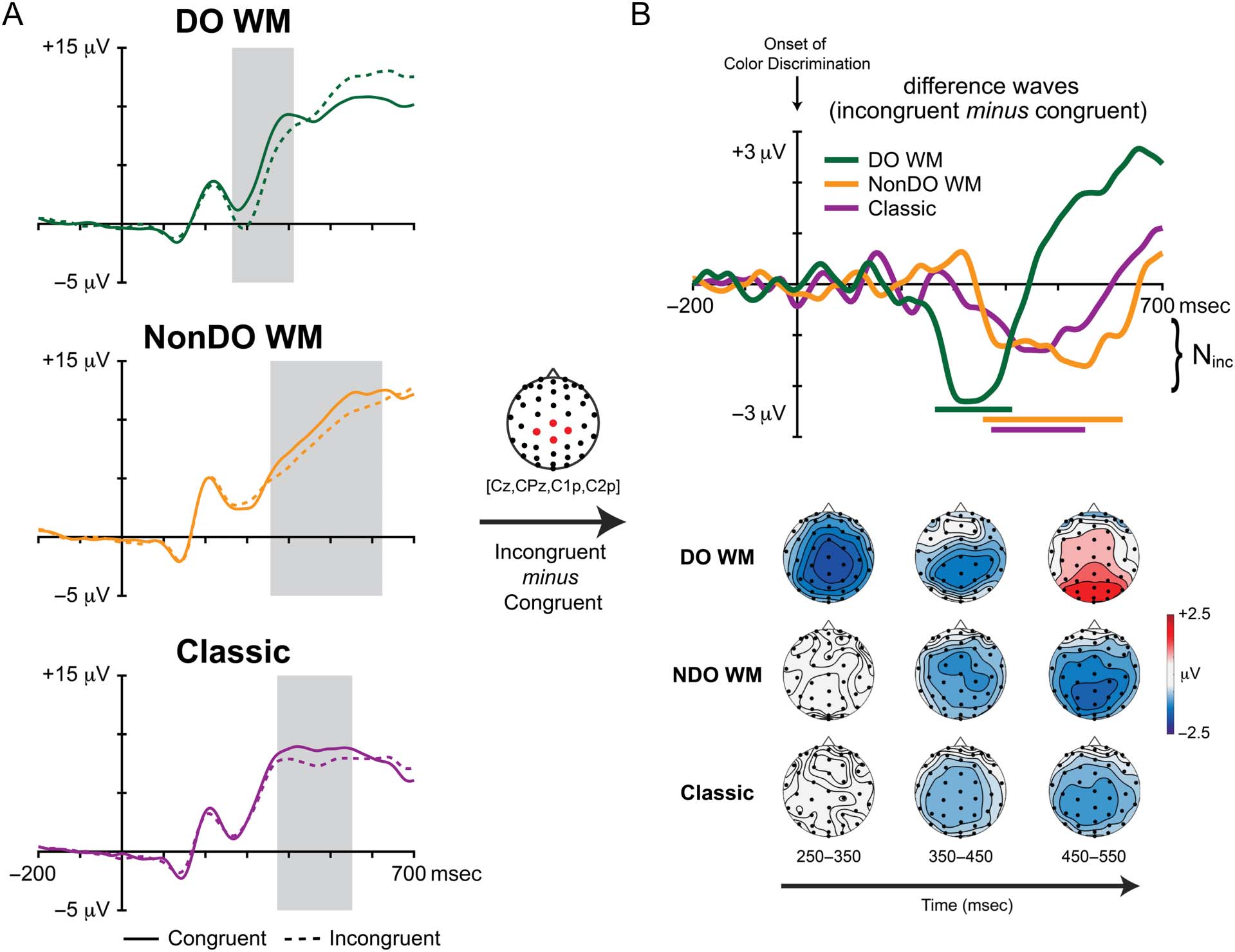 Neural Dynamics of Conflict Control in Working Memory image