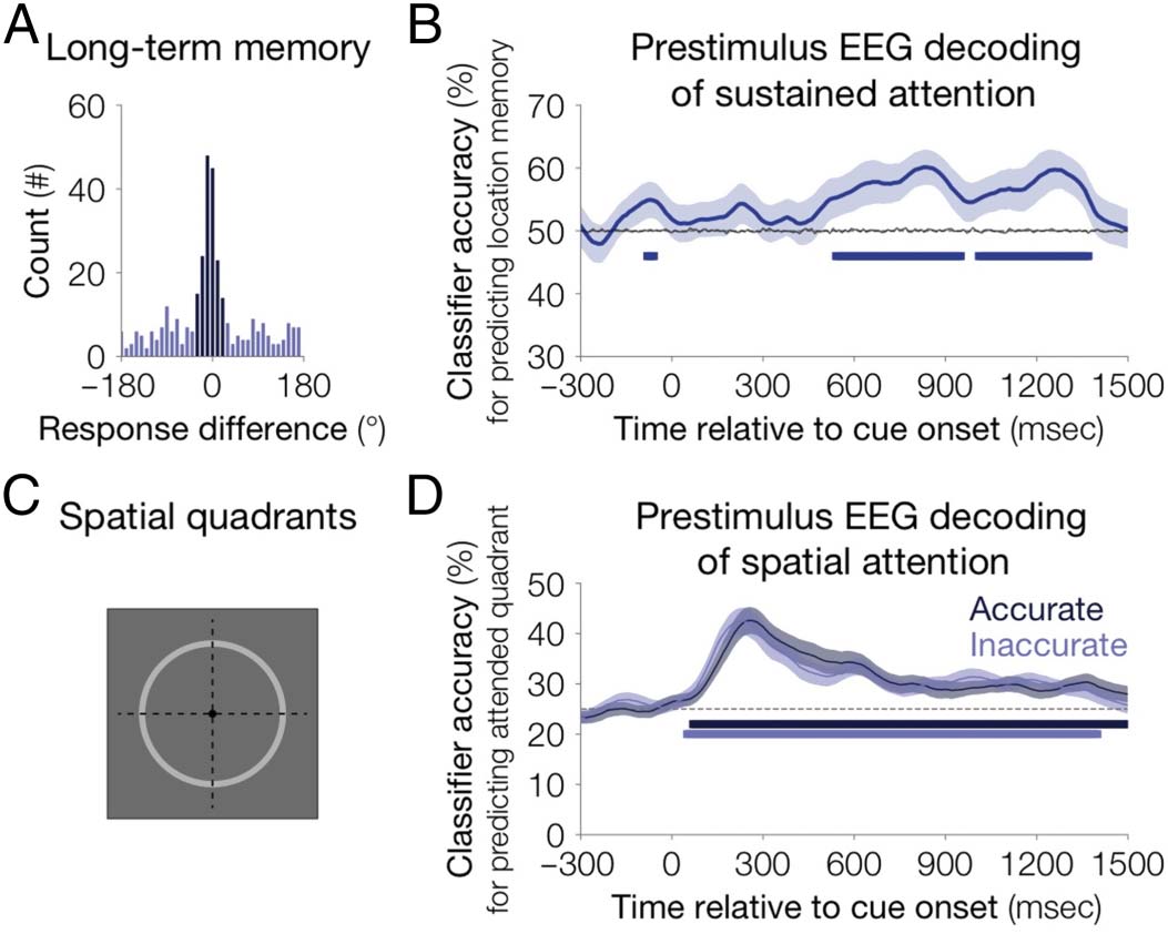 Sustained Attention and Spatial Attention Distinctly image