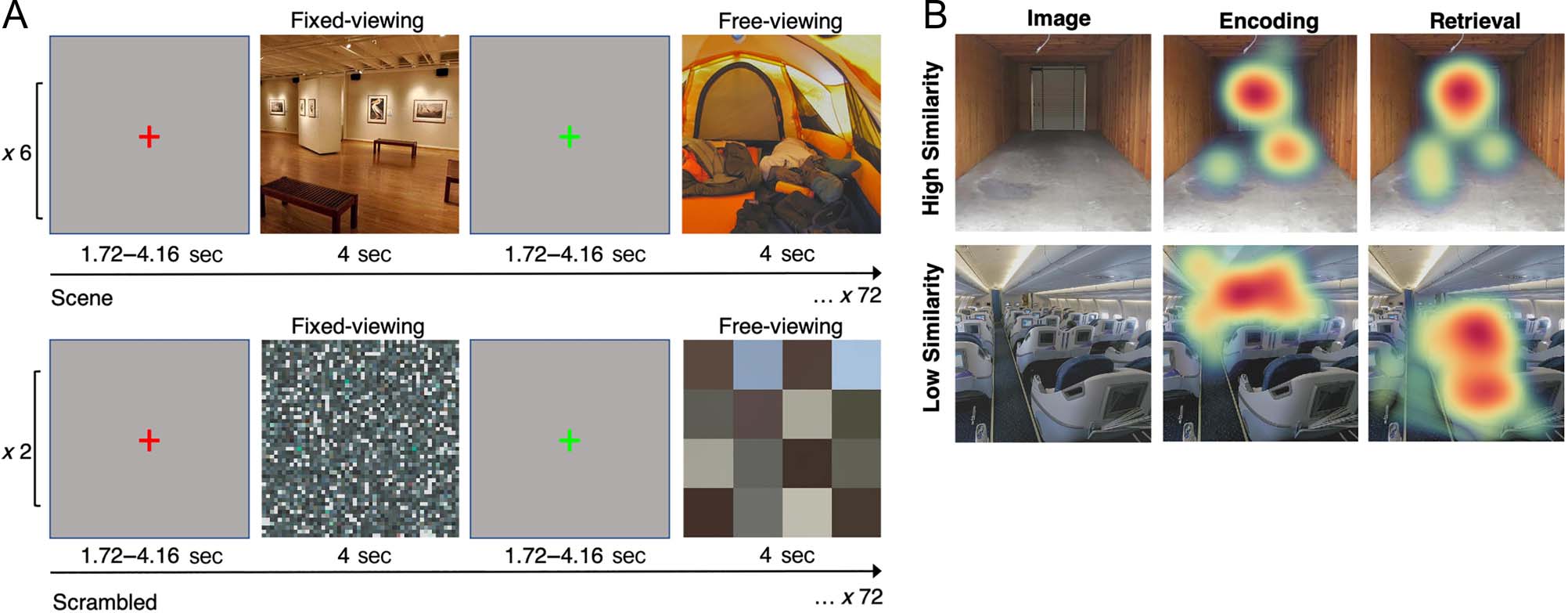 Neural Correlates of Subsequent Memory-Related image