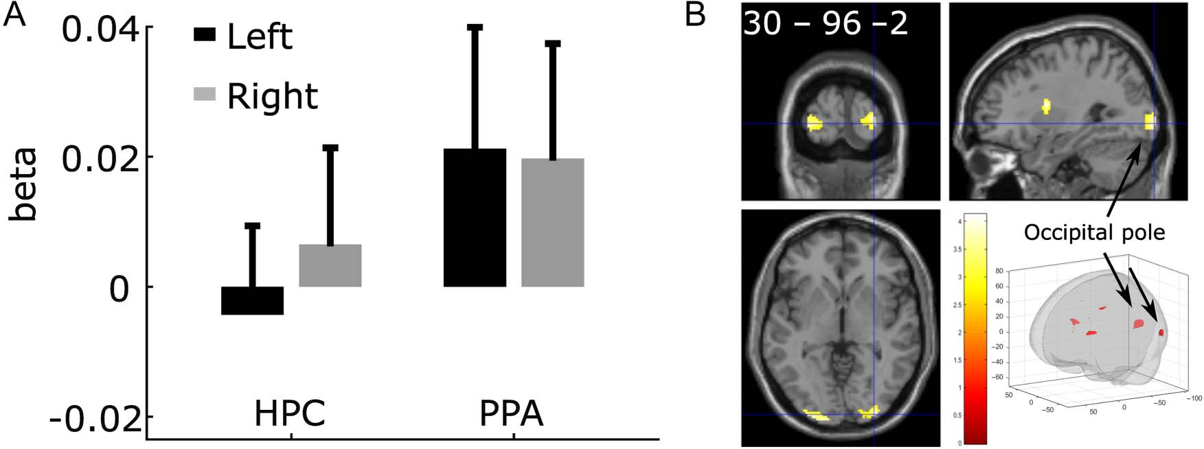 Neural Correlates of Subsequent Memory-Related image