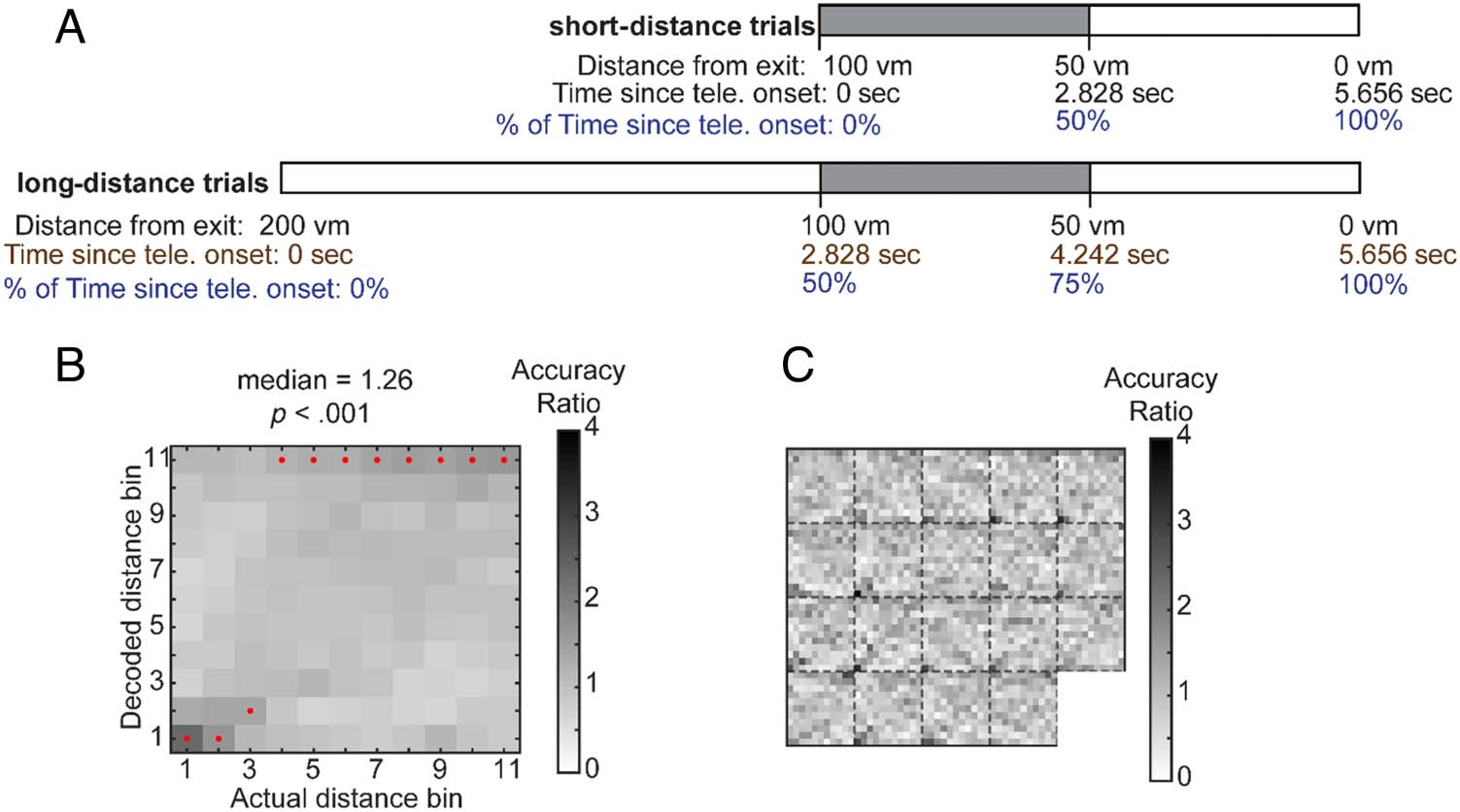 Common and Distinct Roles of Frontal Midline Theta and image