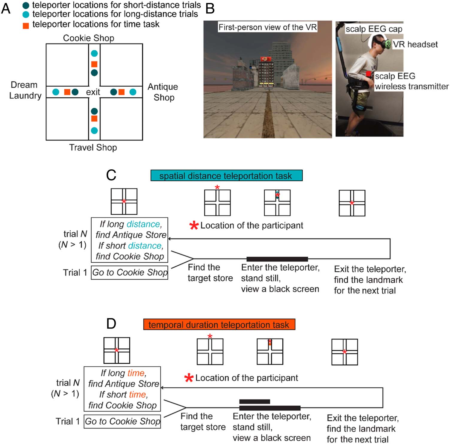 Common and Distinct Roles of Frontal Midline Theta and image