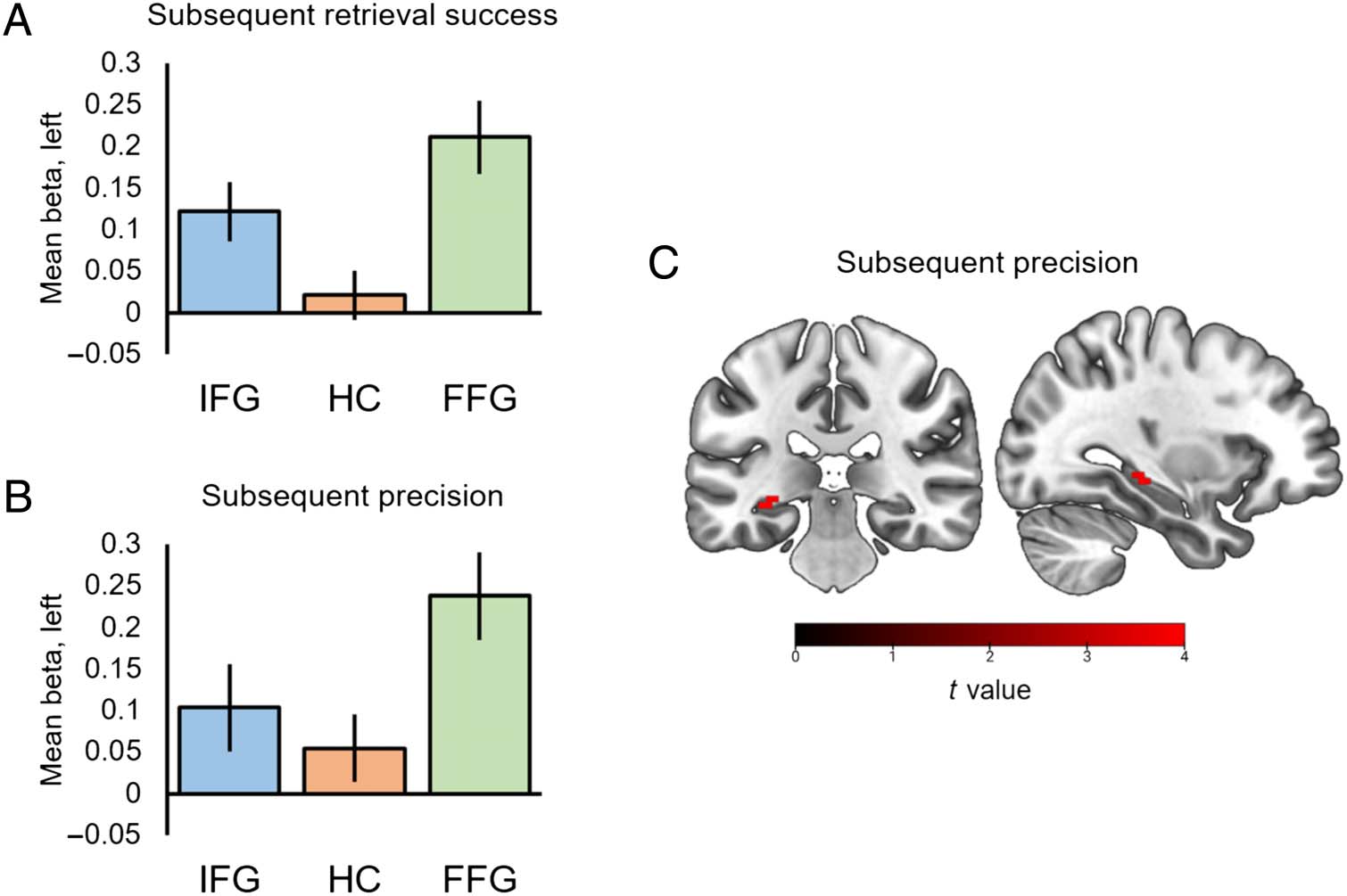 Hippocampal–Cortical Encoding Activity Predicts image