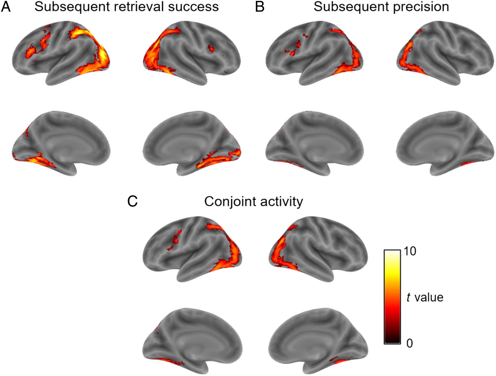 Hippocampal–Cortical Encoding Activity Predicts image