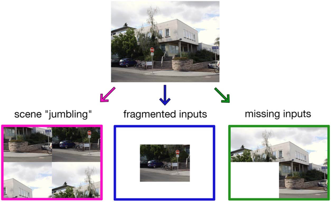 Parts and Wholes in Scene Processing image