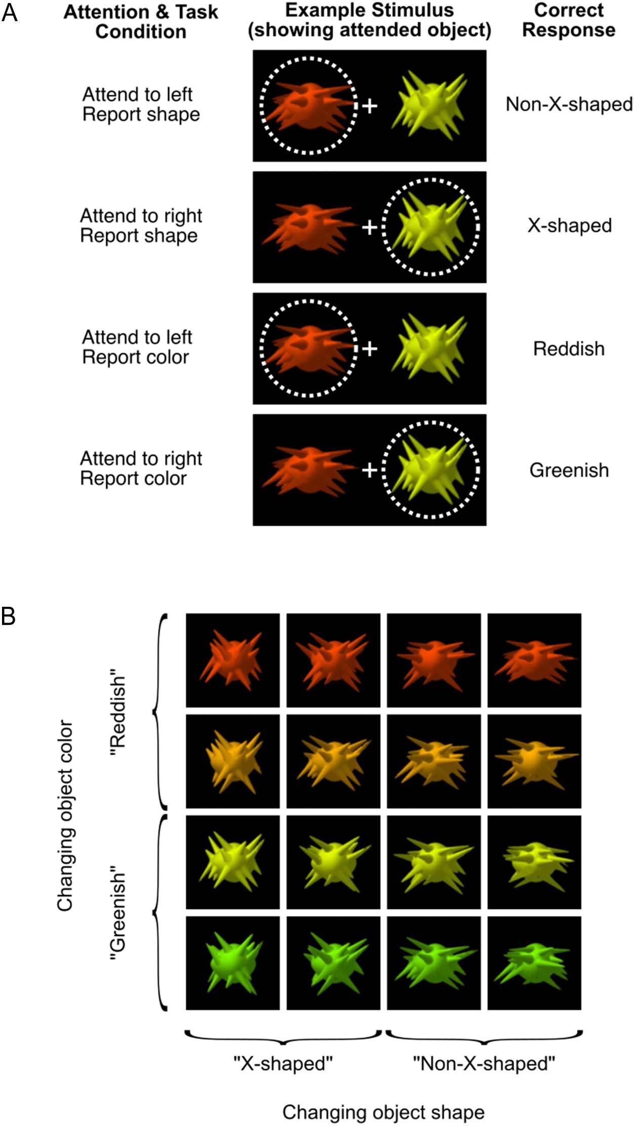 Spatial and Feature-selective Attention Have Distinct, image