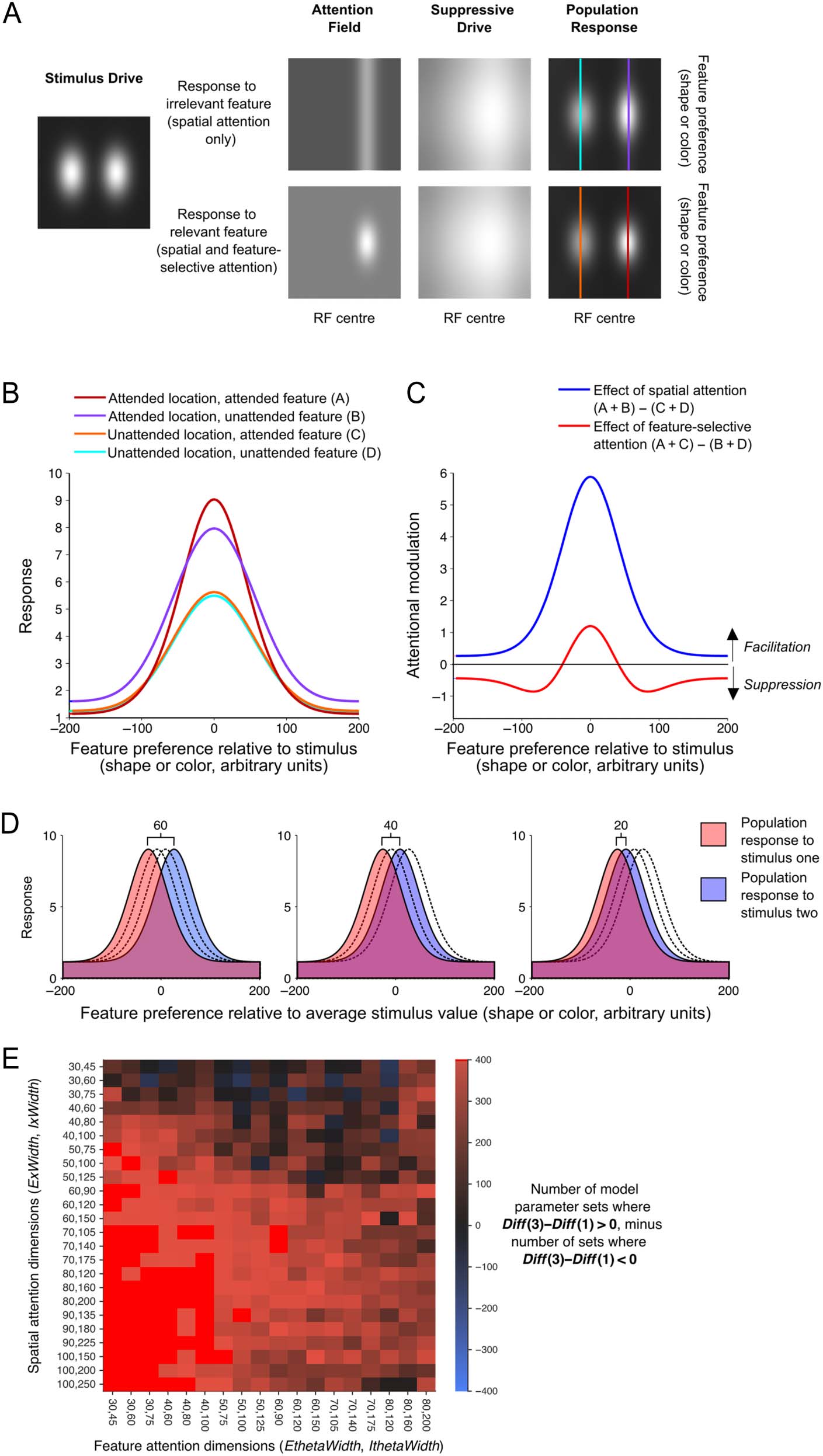 Spatial and Feature-selective Attention Have Distinct, image