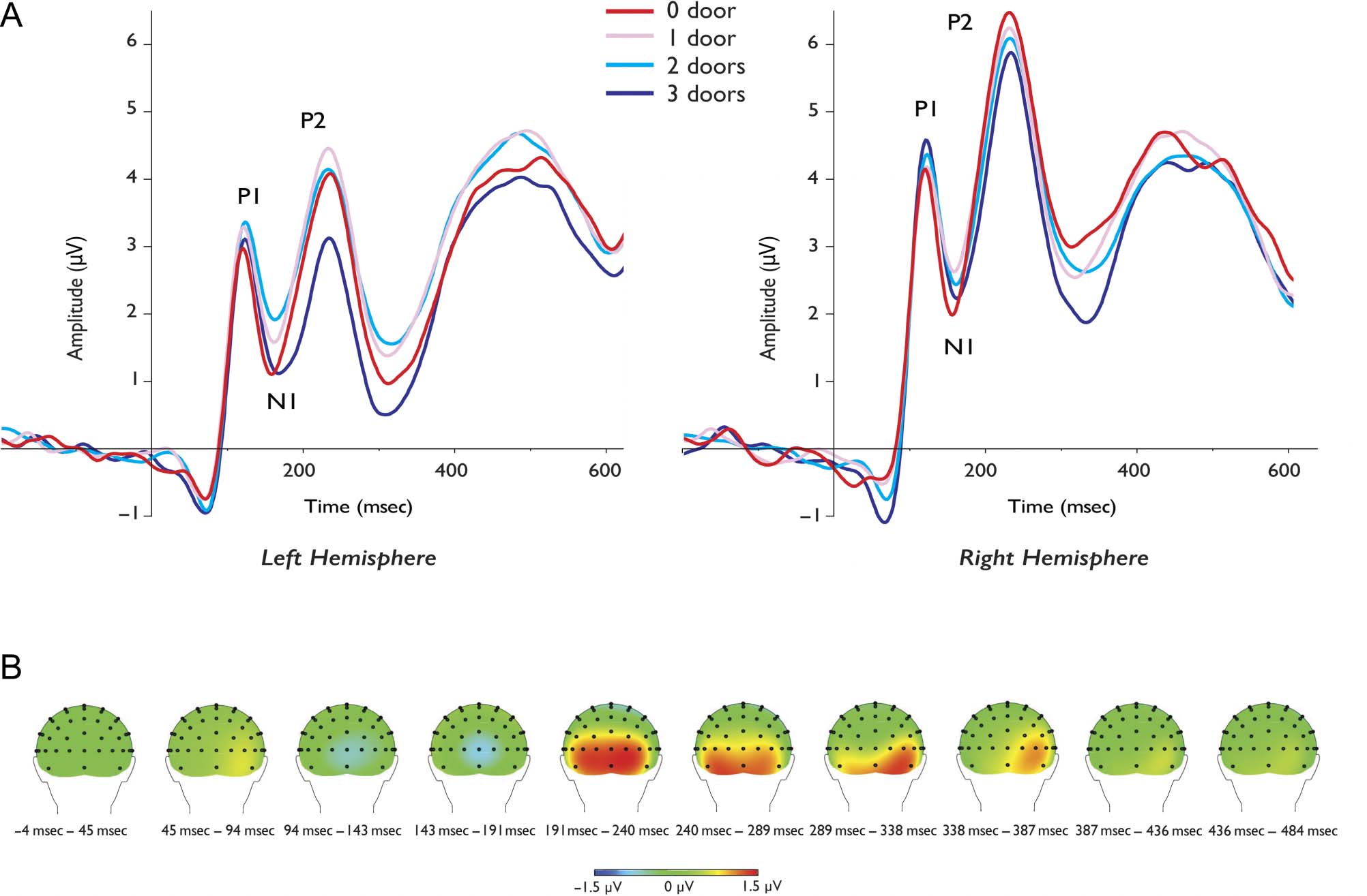 Early Electrophysiological Markers of image