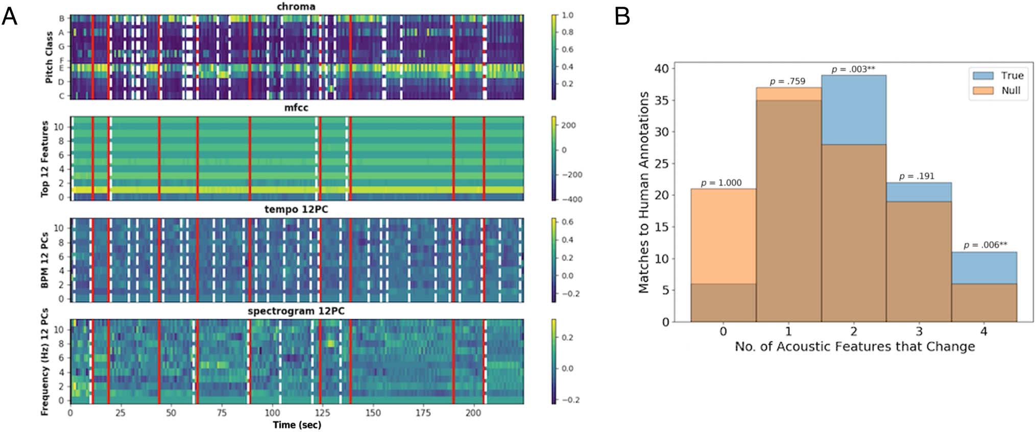 High-Order Areas and Auditory Cortex Both Represent image