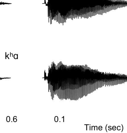 Unified Coding of Spectral and Temporal Phonetic Cues: image