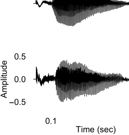 Unified Coding of Spectral and Temporal Phonetic Cues: image