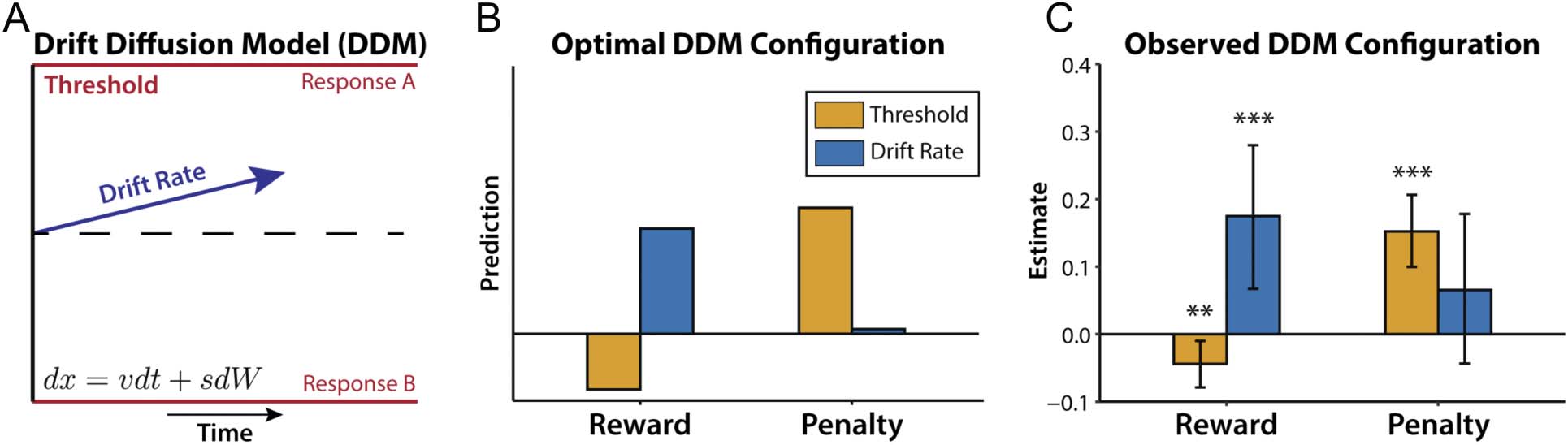 Cognitive Control as a Multivariate image