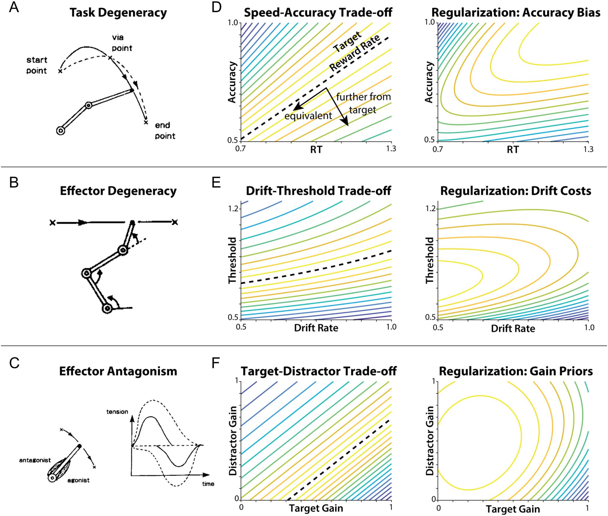 Cognitive Control as a Multivariate image