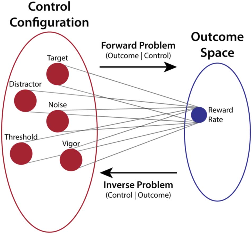 Cognitive Control as a Multivariate image