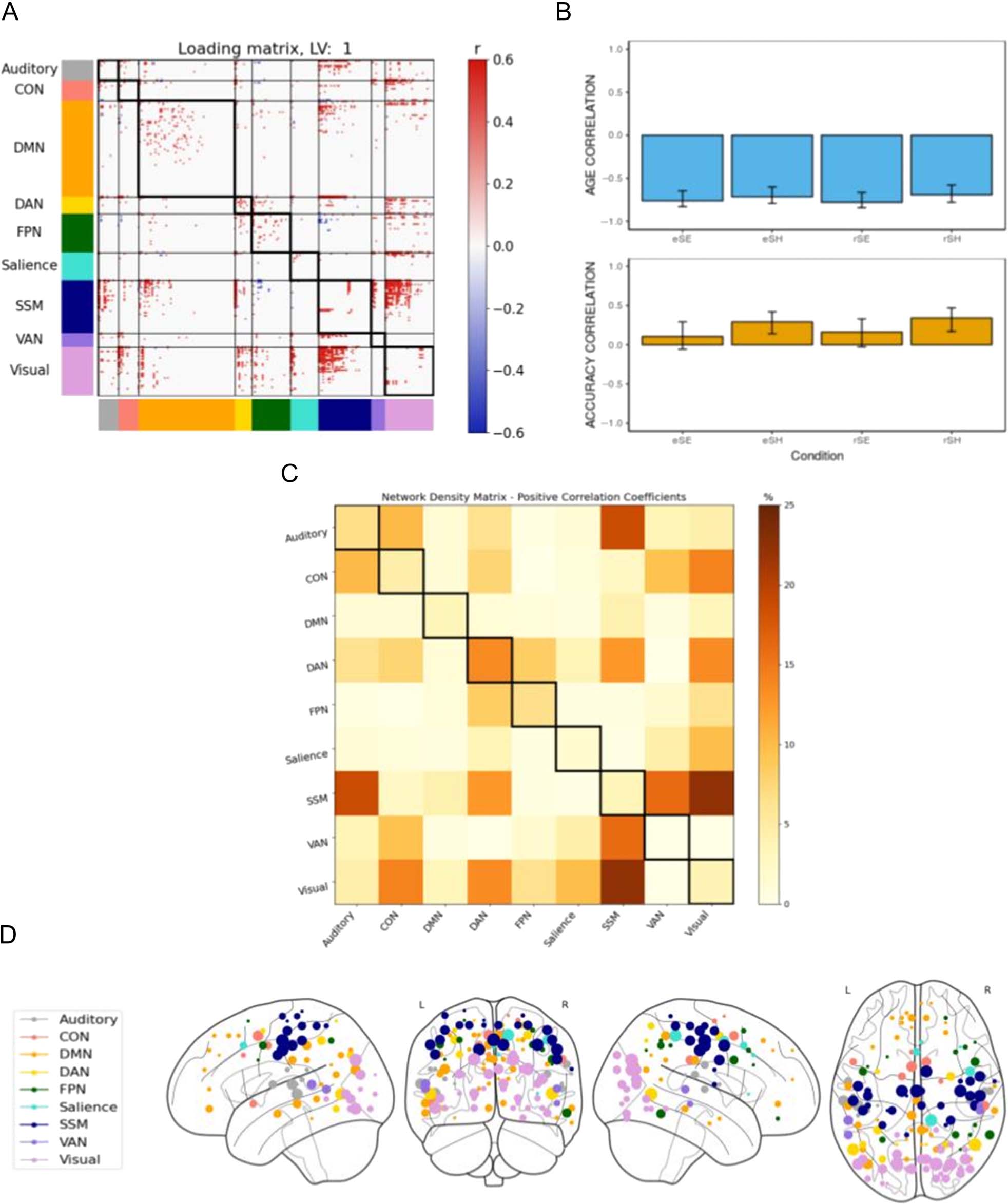 年龄- and Episodic Memory-related Differences in image