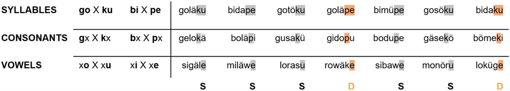 A Special Role of Syllables, But Not Vowels or Consonants, 图像