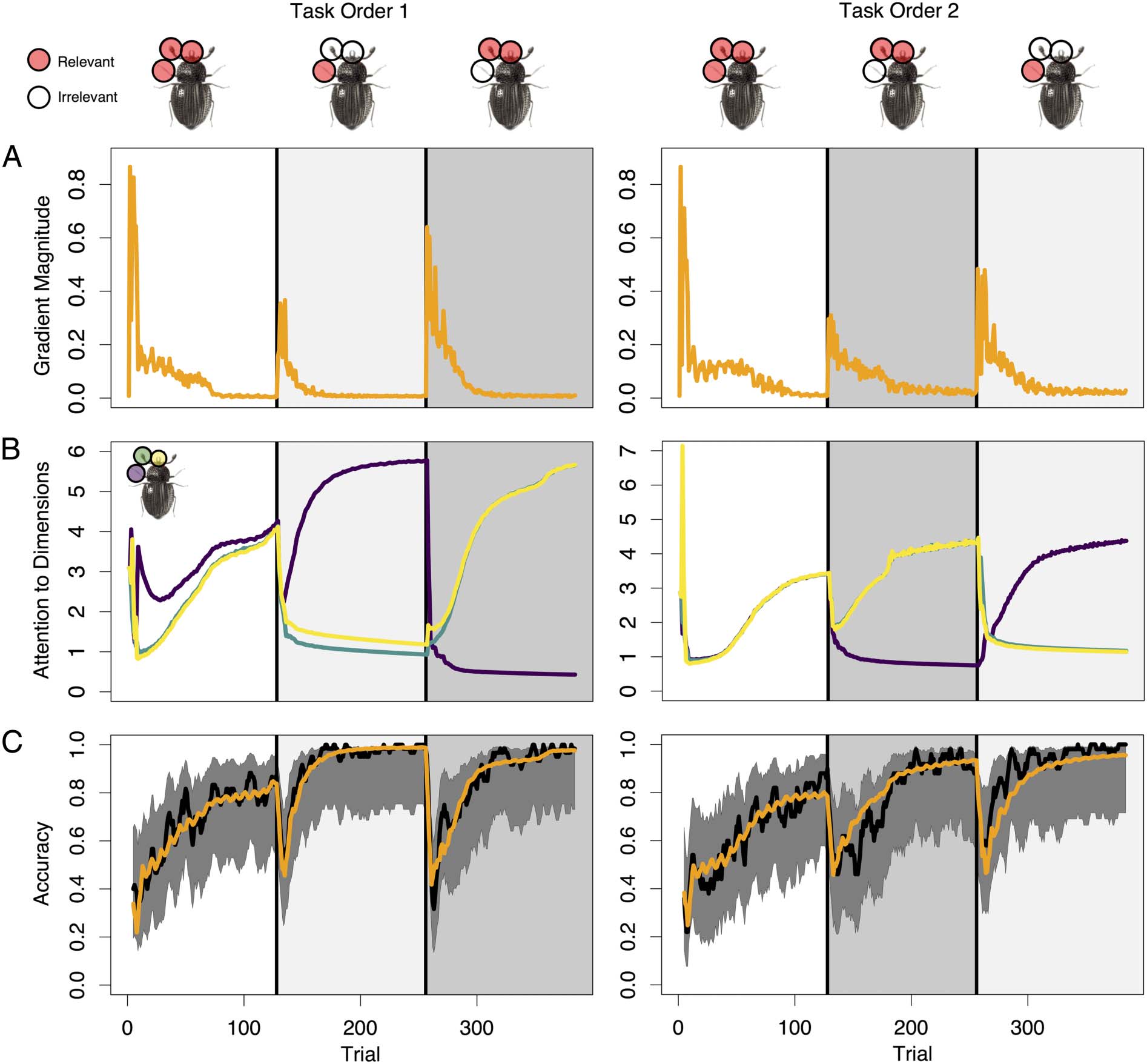 Distributed Neural Systems Support Flexible Attention image