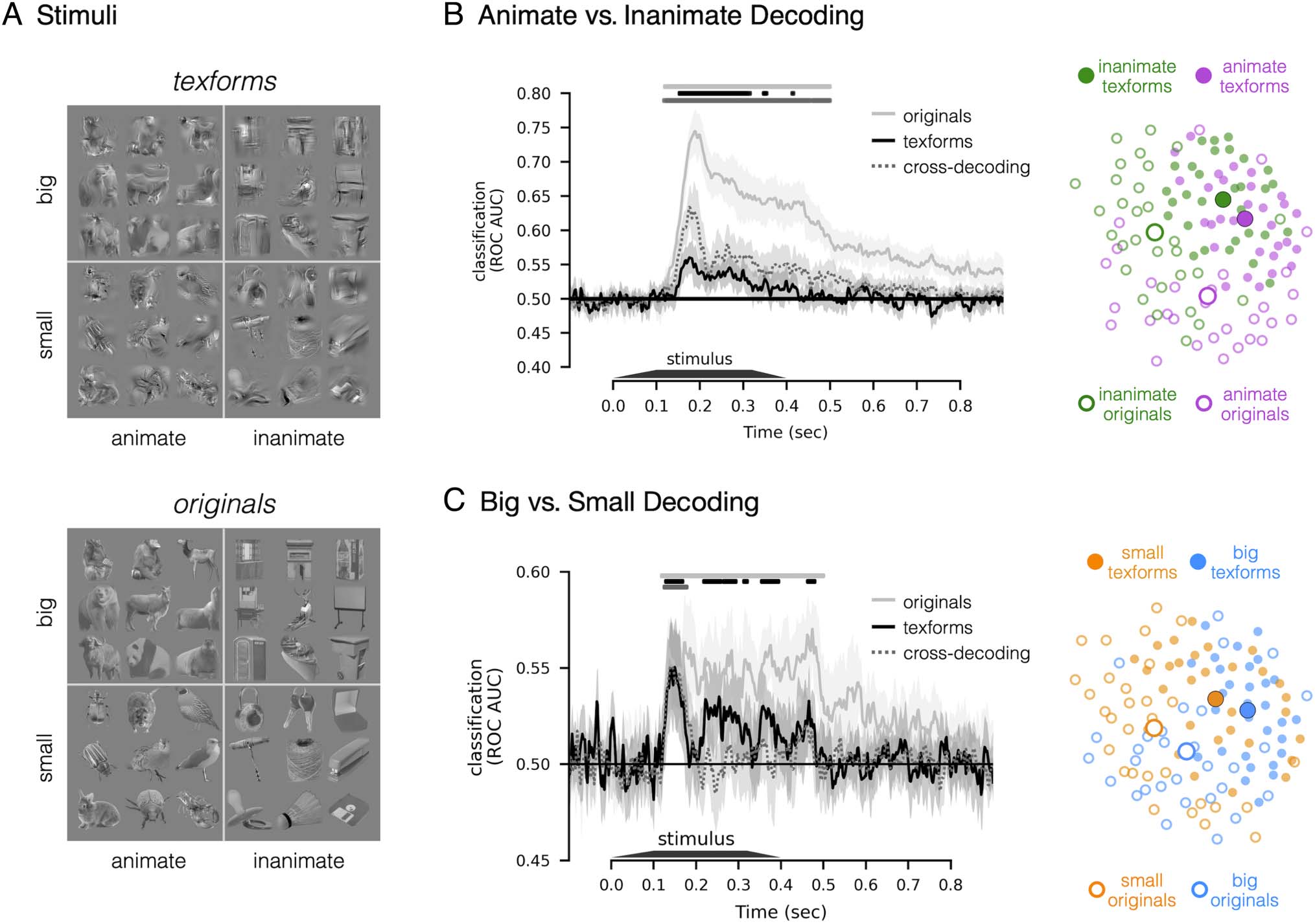 Mid-level Feature Differences Support Early Animacy image