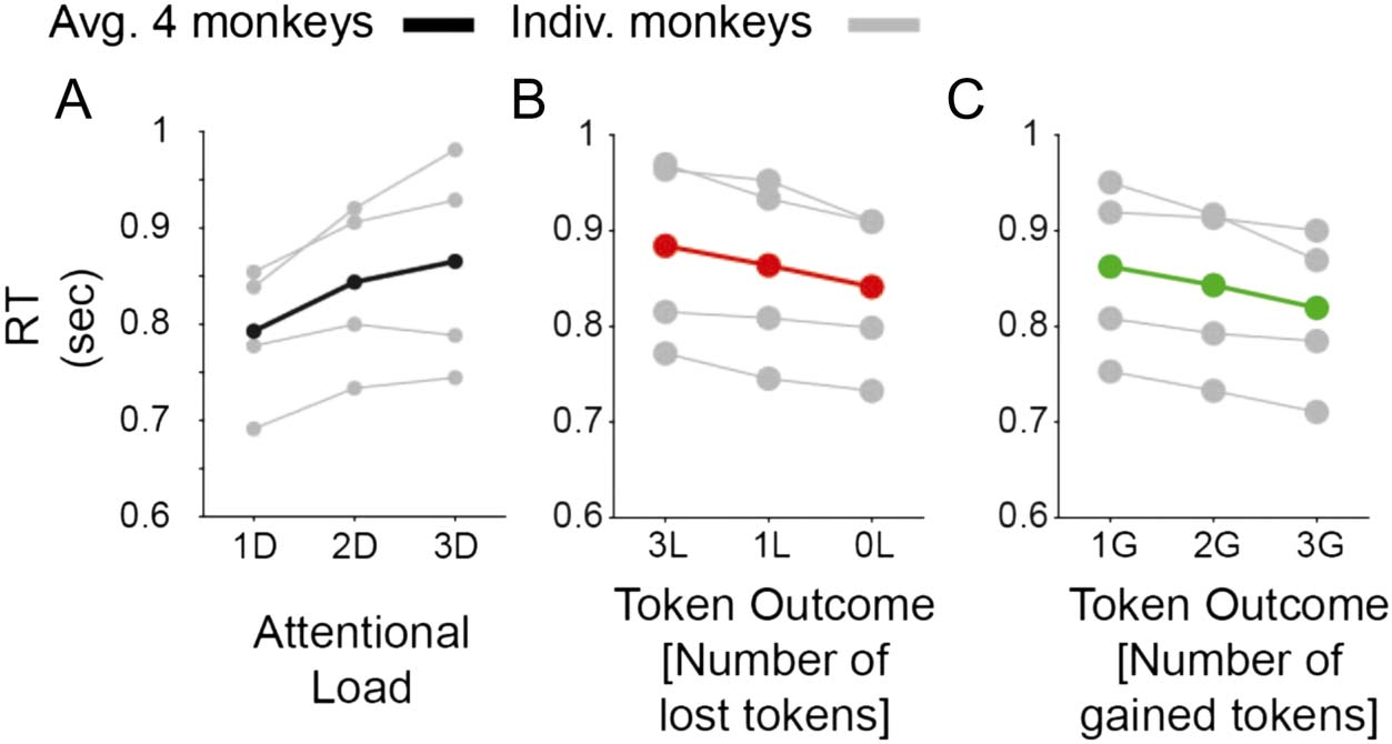 Gains and Losses Affect Learning Differentially at Low and image