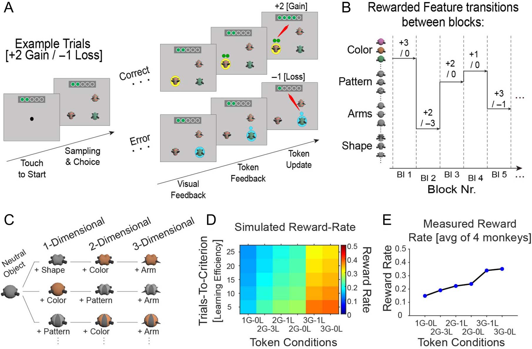 Gains and Losses Affect Learning Differentially at Low and image