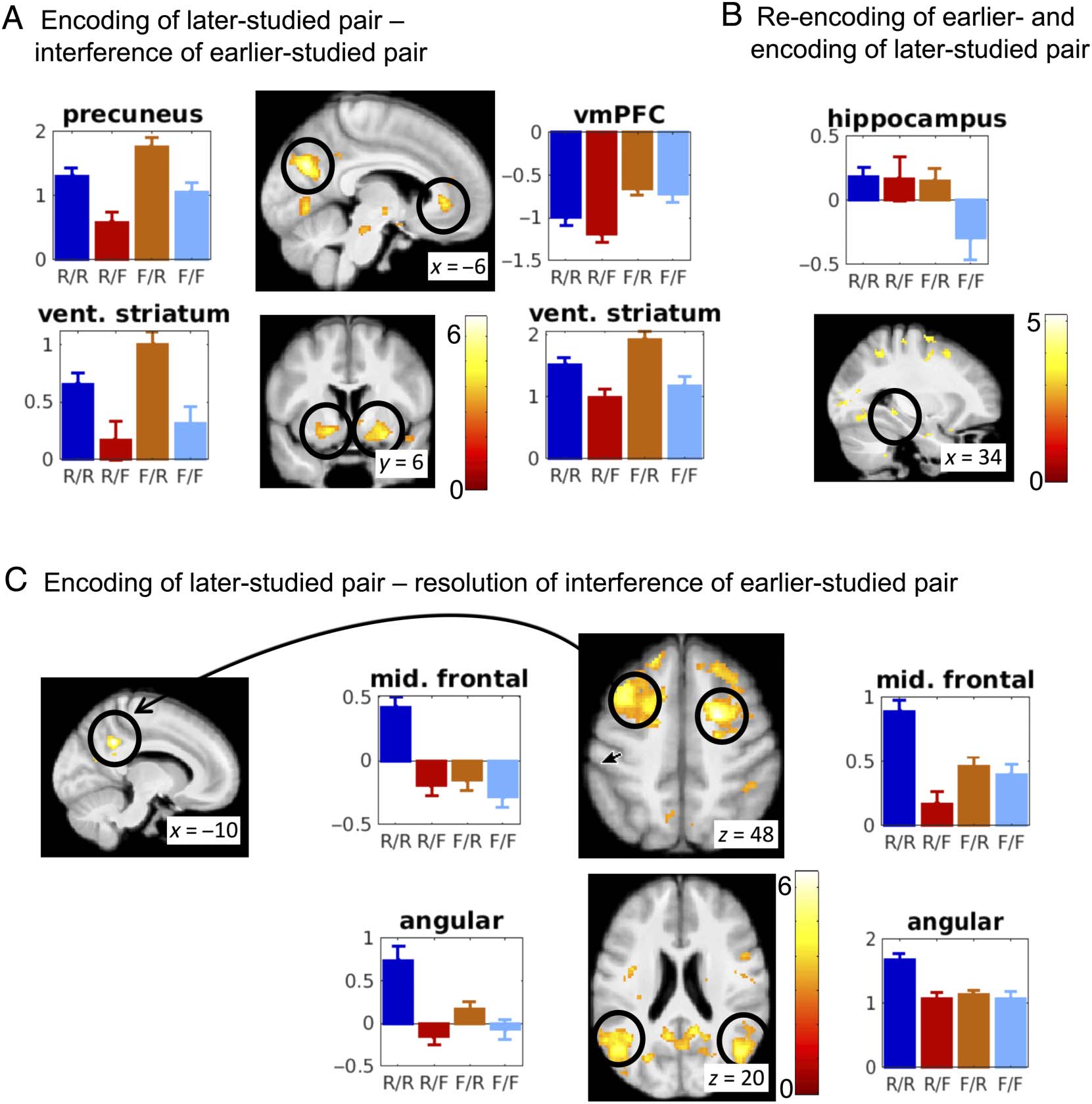 Competition between Associations in Memory image