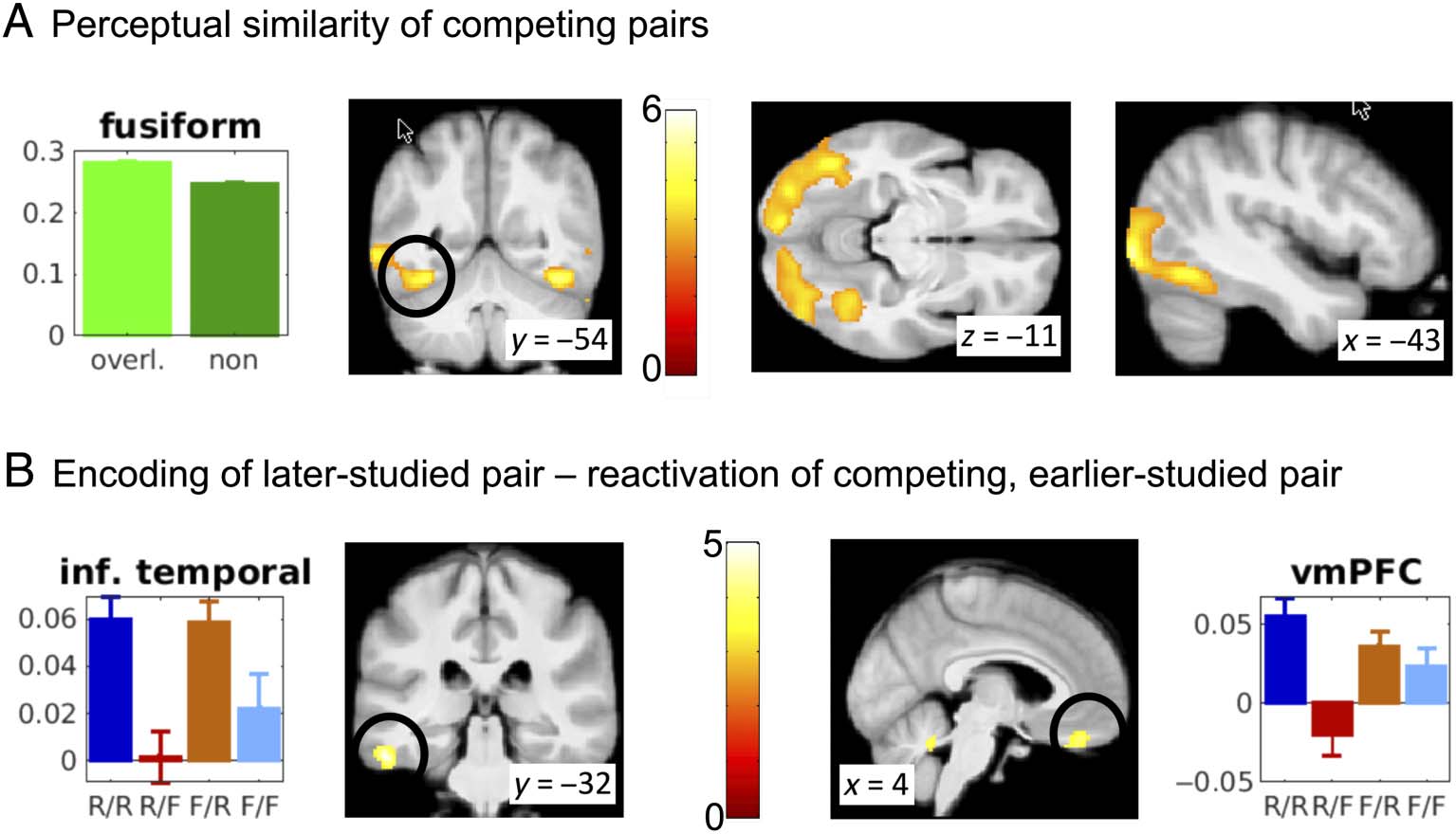 Competition between Associations in Memory image