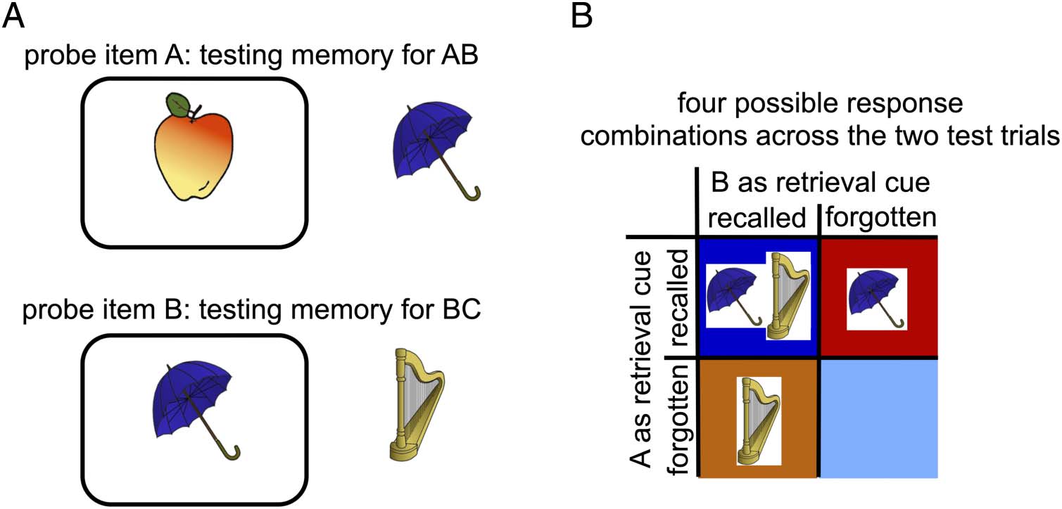 Competition between Associations in Memory image