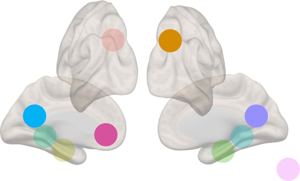 Temporal Organization of Episodic and Experience-near image