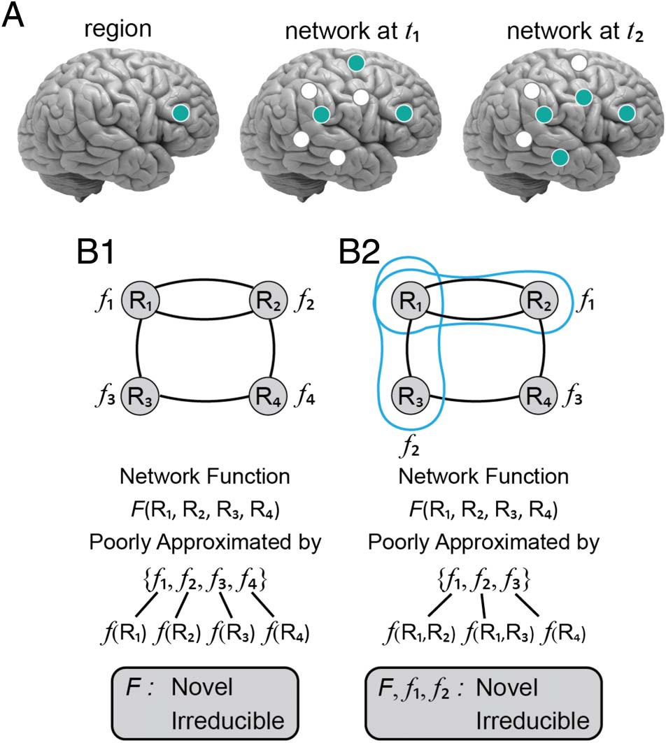 The Entangled Brain image