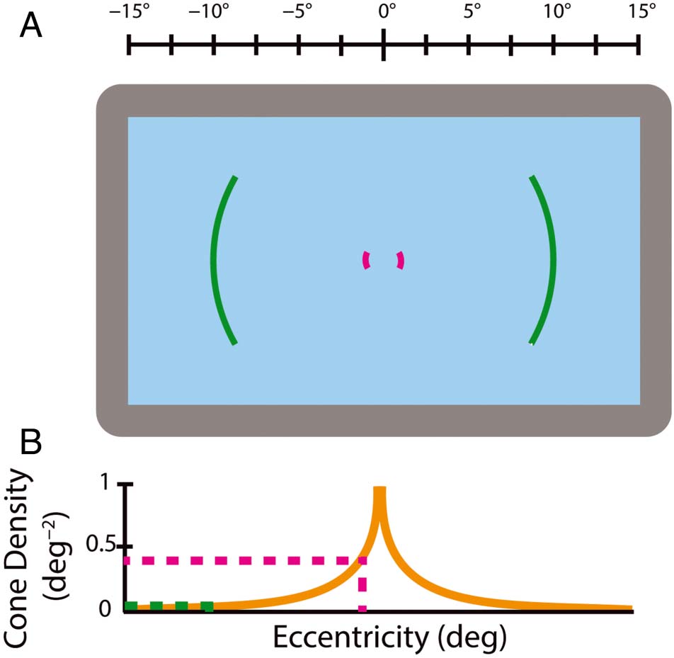 Are Color Experiences the Same across the Visual Field? imagen