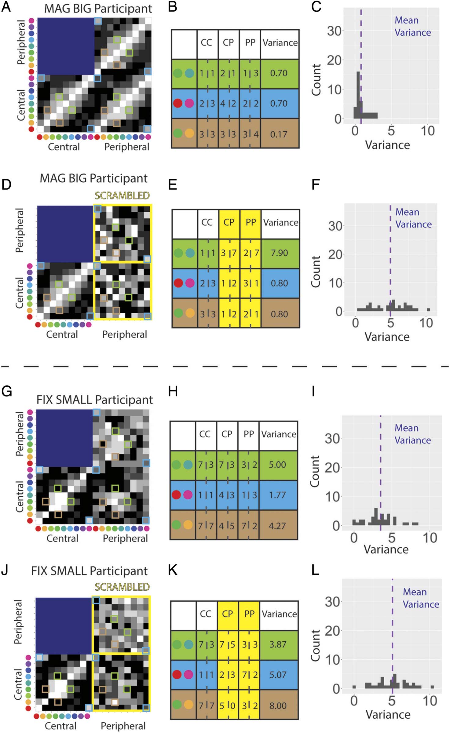 Are Color Experiences the Same across the Visual Field? imagen