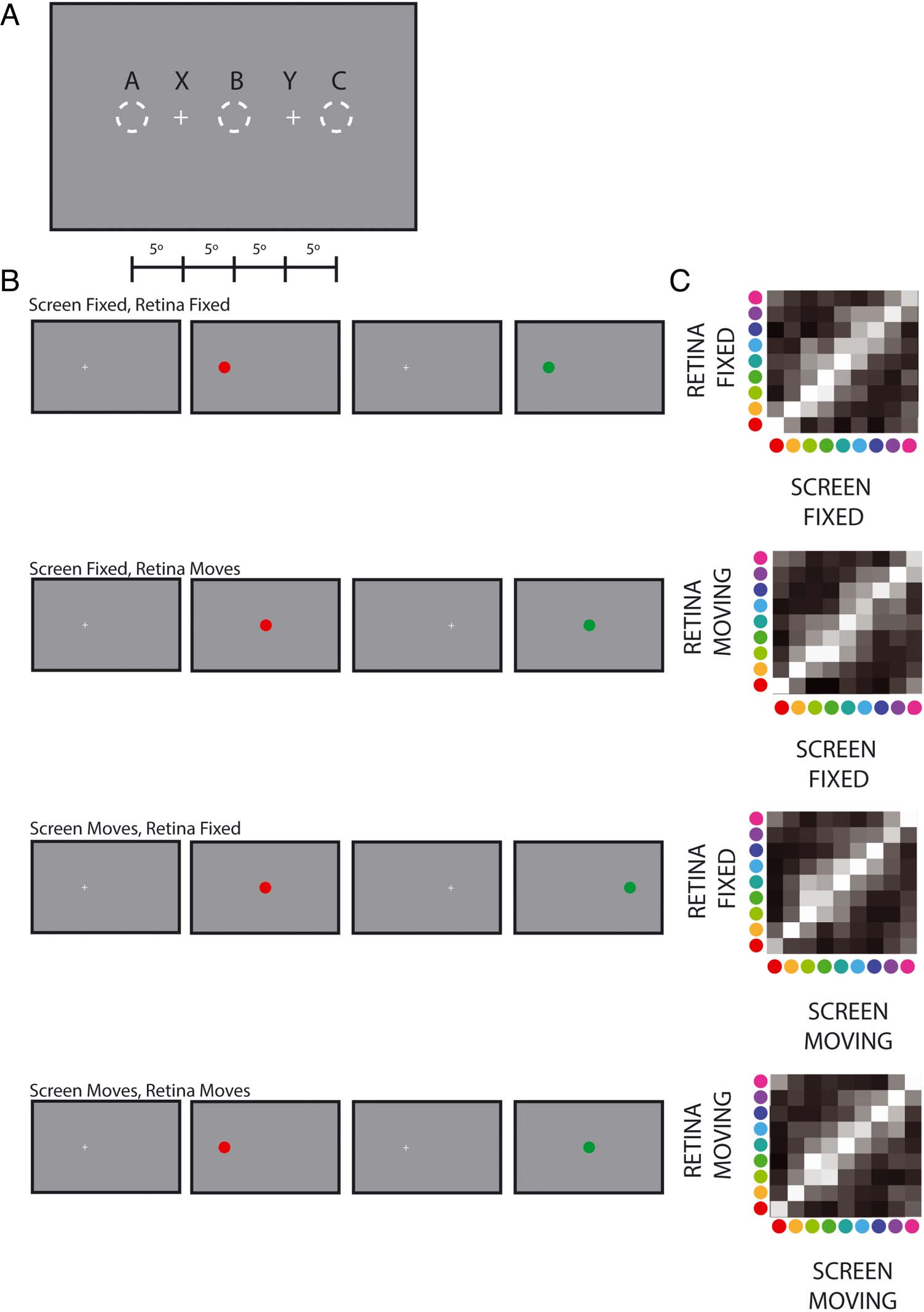 Are Color Experiences the Same across the Visual Field? imagen