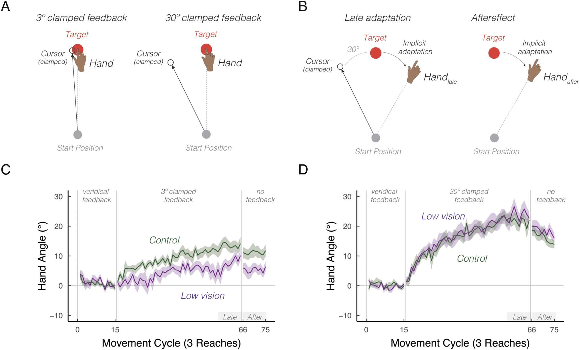 Low Vision Impairs Implicit Sensorimotor Adaptation in image