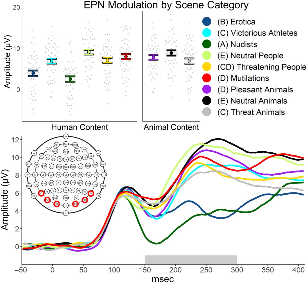 Percepción Emocional: Divergence of Early and Late image