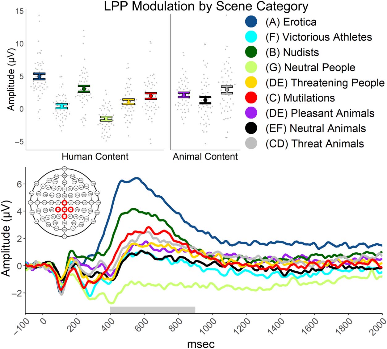 Percepción Emocional: Divergence of Early and Late image