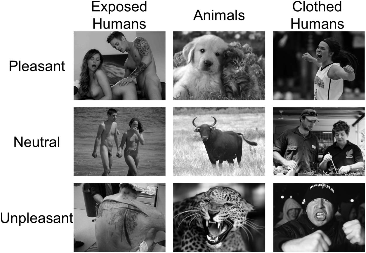 Percepción Emocional: Divergence of Early and Late image