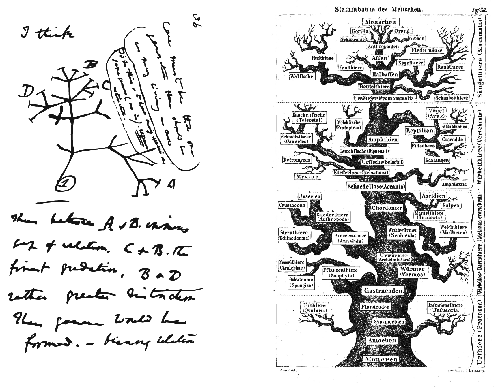 Downloaded from http://direct.mit.edu/leon/article-pdf/45/1/18/1983341/leon_a_00321.pdf by guest on 08 September 2023 image