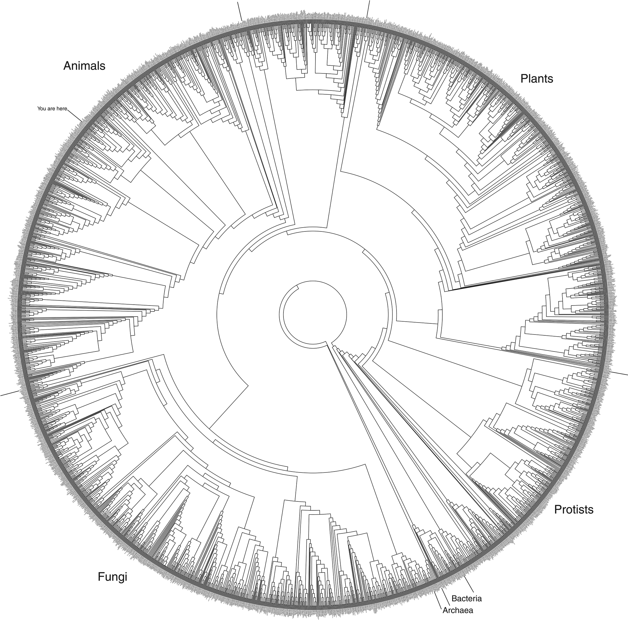 Downloaded from http://direct.mit.edu/leon/article-pdf/45/1/18/1983341/leon_a_00321.pdf by guest on 08 September 2023 image