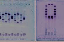 Downloaded from http://direct.mit.edu/leon/article-pdf/48/2/128/2017710/leon_a_00701.pdf by guest on 07 September 2023 image