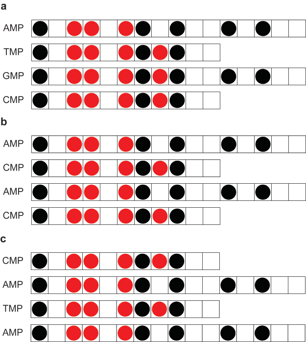 The Musical Geometry of Genes image