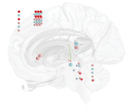 Image de l'ARTICLE