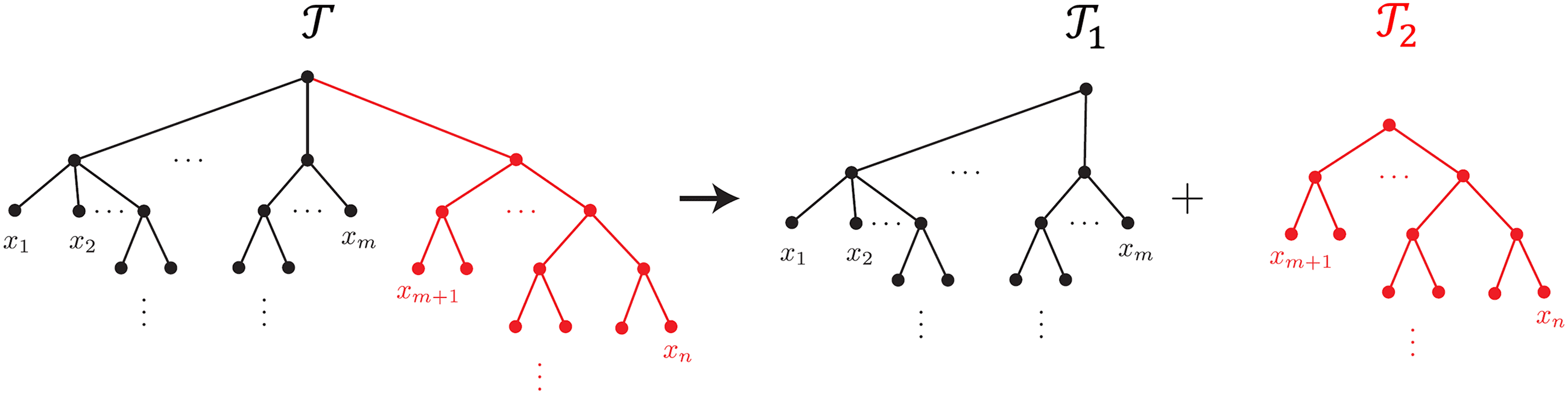 Image de l'ARTICLE